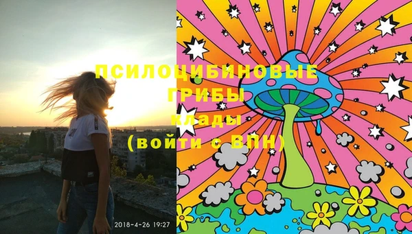 PSILOCYBIN Балабаново