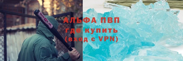 PSILOCYBIN Балабаново