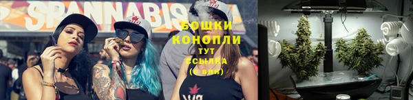 PSILOCYBIN Балабаново