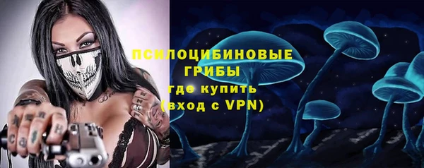 PSILOCYBIN Балабаново