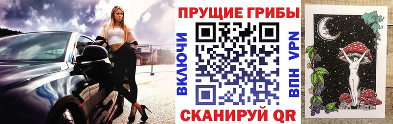 купить наркотики сайты Валдай darknet наркотические препараты Псилоцибиновые грибы мухоморы кракен ссылки