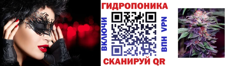 OMG ONION  Валдай  Каннабис AK-47 